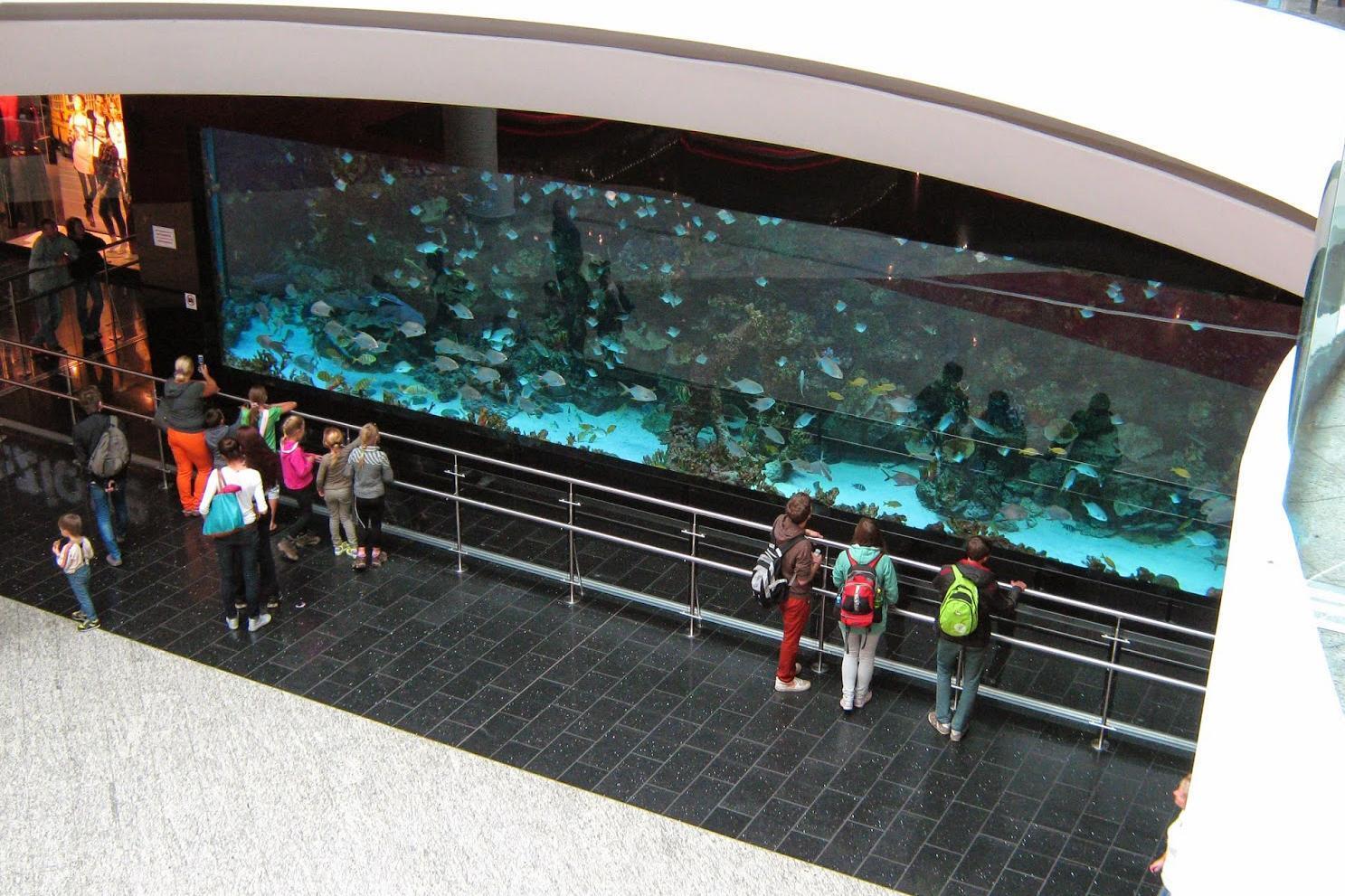 Акваріум в торгівельному центрі Ocean Plaza