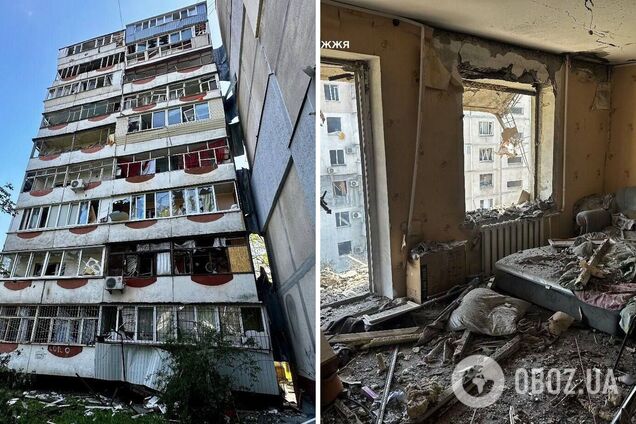 В Запорожье раненый пес не отходил от тела погибшей владелицы: новые подробности российской атаки
