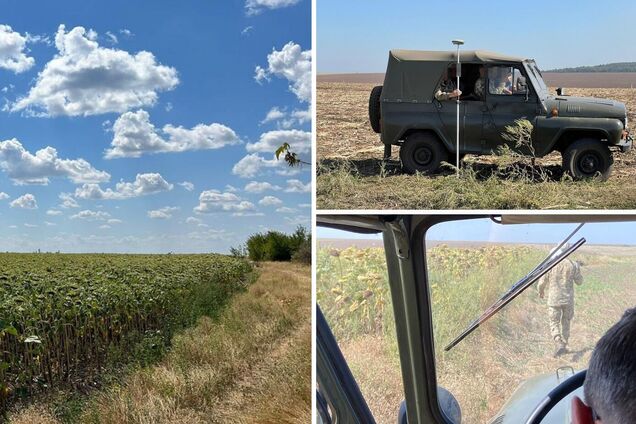 Ілюстрація - колаж з фото полігону, засіяного фермерськими культурами